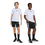 Conjunto adidas Train Essentials JW4973