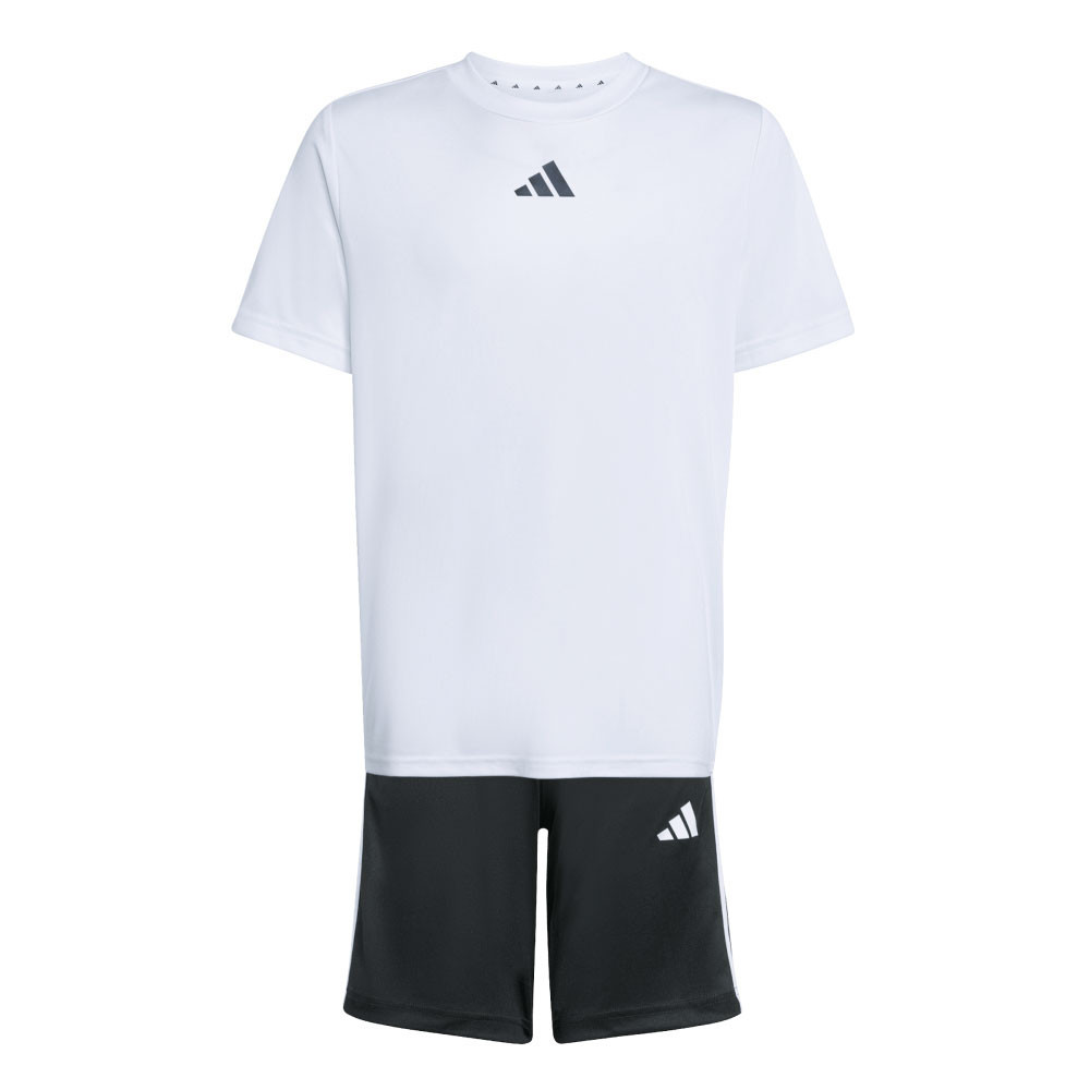Conjunto adidas Train Essentials JW4973