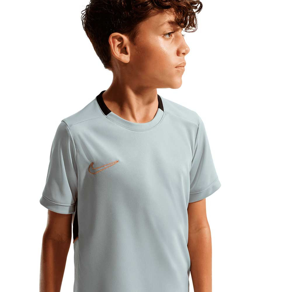Camiseta Nike Academy HJ3716-077