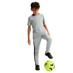 Camiseta Nike Academy HJ3716-077