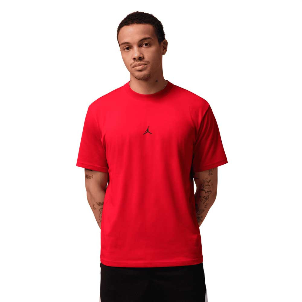 Camiseta Nike Jordan Sport IB6757-687
