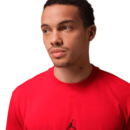 Camiseta Nike Jordan Sport IB6757-687