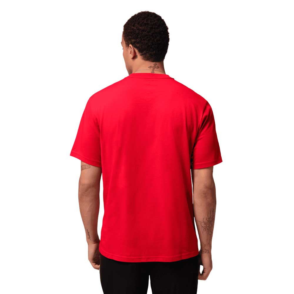 Camiseta Nike Jordan Sport IB6757-687