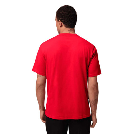Camiseta Nike Jordan Sport IB6757-687