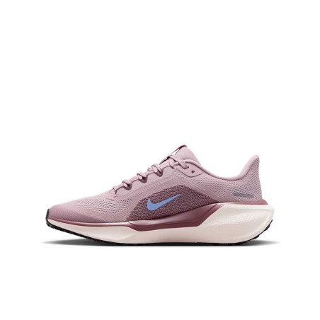 Zapatilla Nike Air Zoom Pegasus 41 FN5041-604