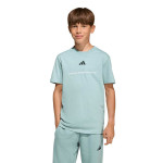 Camiseta adidas KG5190