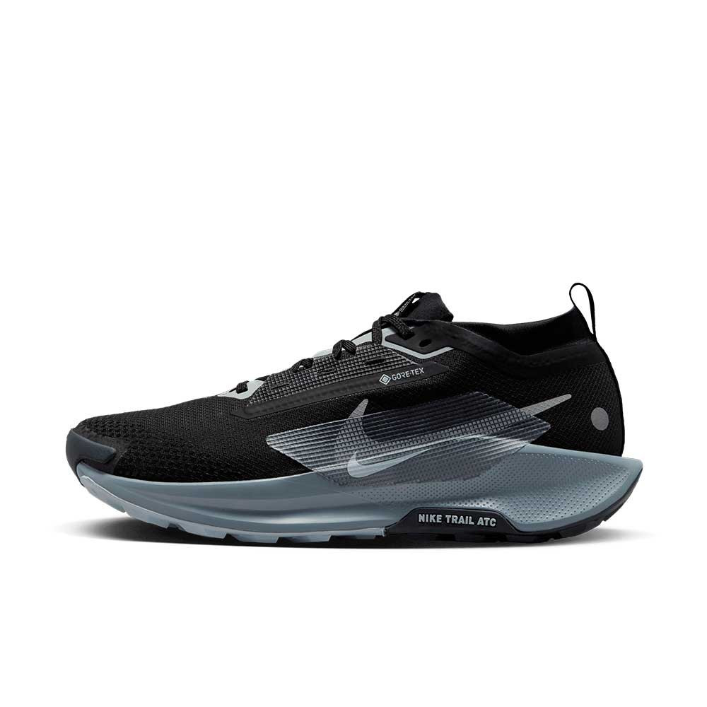 Zapatilla Nike Pegasus Trail 5 Gore-Tex FQ0908-001