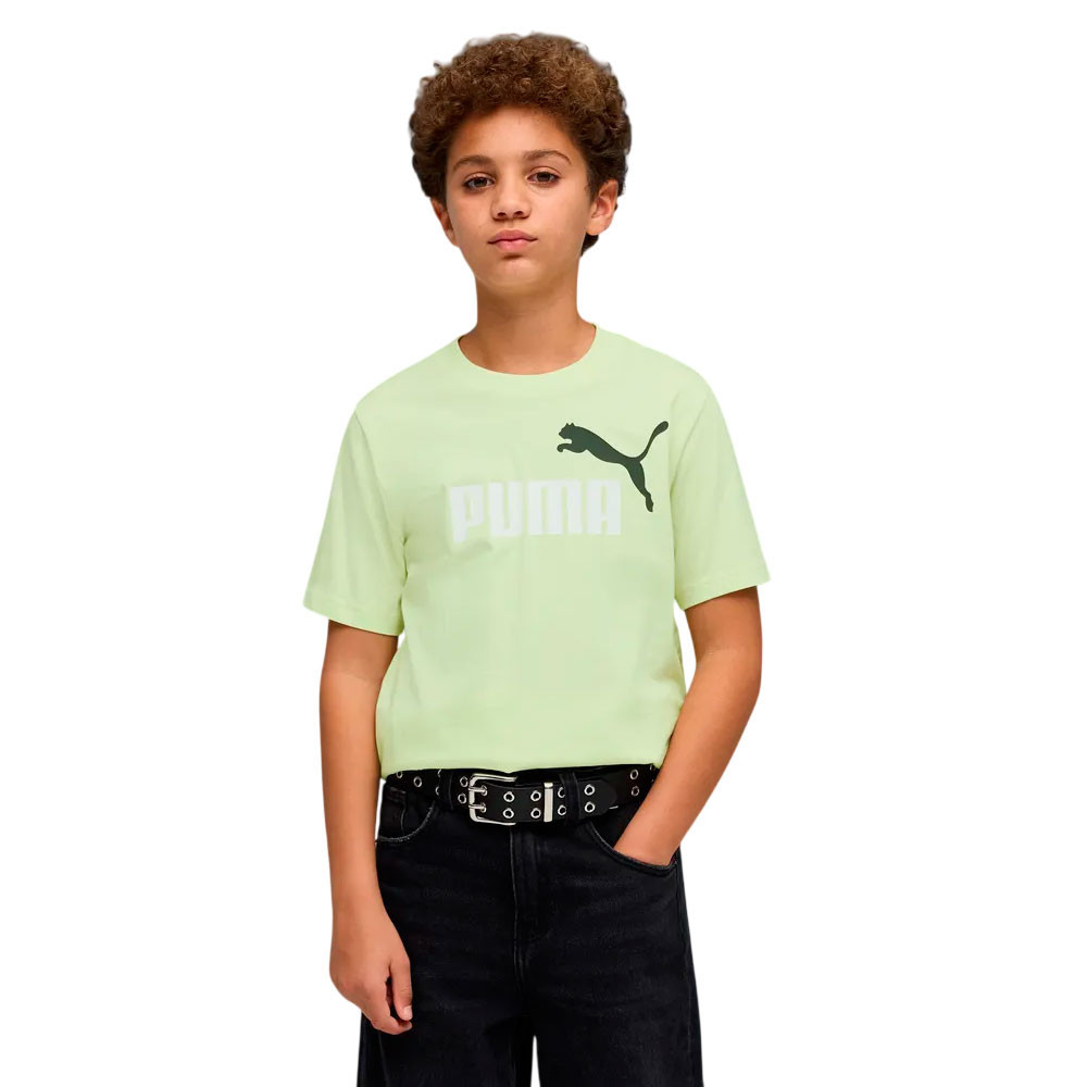 Camiseta Puma Essential 685778-38