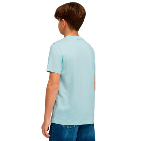 Camiseta Puma Essential 685778-48