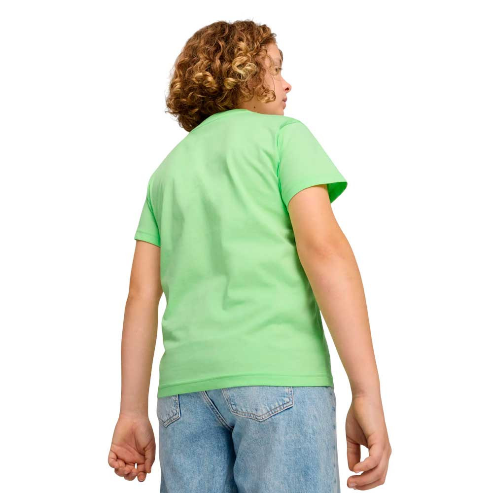 Camiseta Puma Essential 684906-49