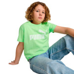 Camiseta Puma Essential 684906-49