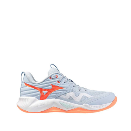 Zapatilla Mizuno Wave Momentum Pro V1GC254084