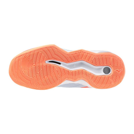 Zapatilla Mizuno Wave Momentum Pro V1GC254084