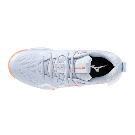 Zapatilla Mizuno Wave Momentum Pro V1GC254084