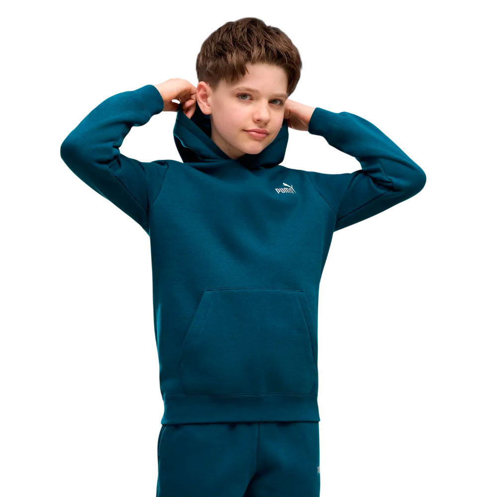 Sudadera Puma Essential 685825-36