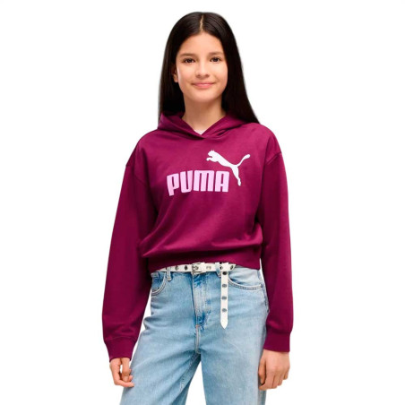 Sudadera Puma Essential 686072-41