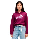 SUDADERA PUMA ESSENTIAL 686072-41