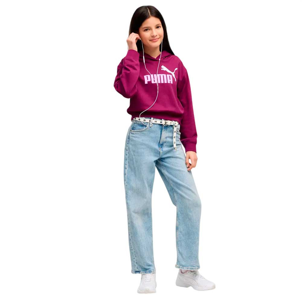 Sudadera Puma Essential 686072-41