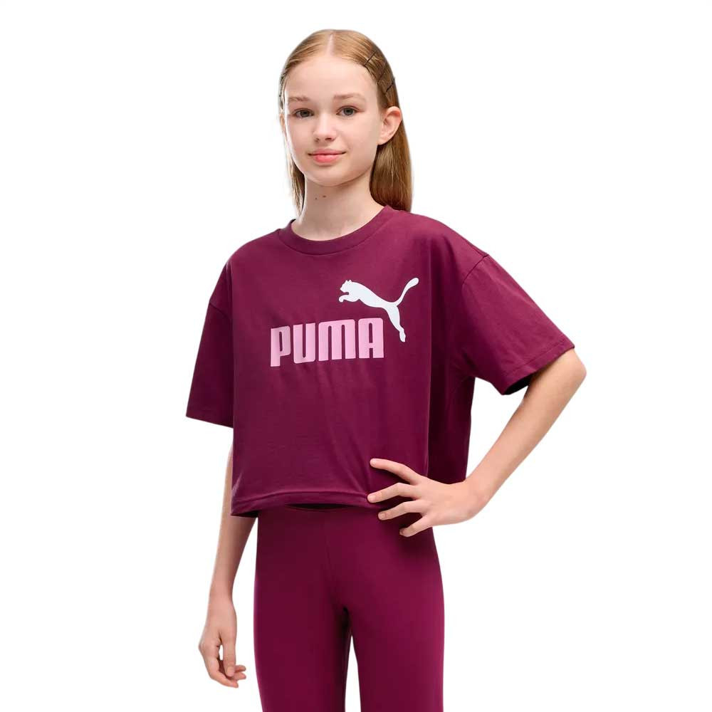 Camiseta Puma Essential 686071-41
