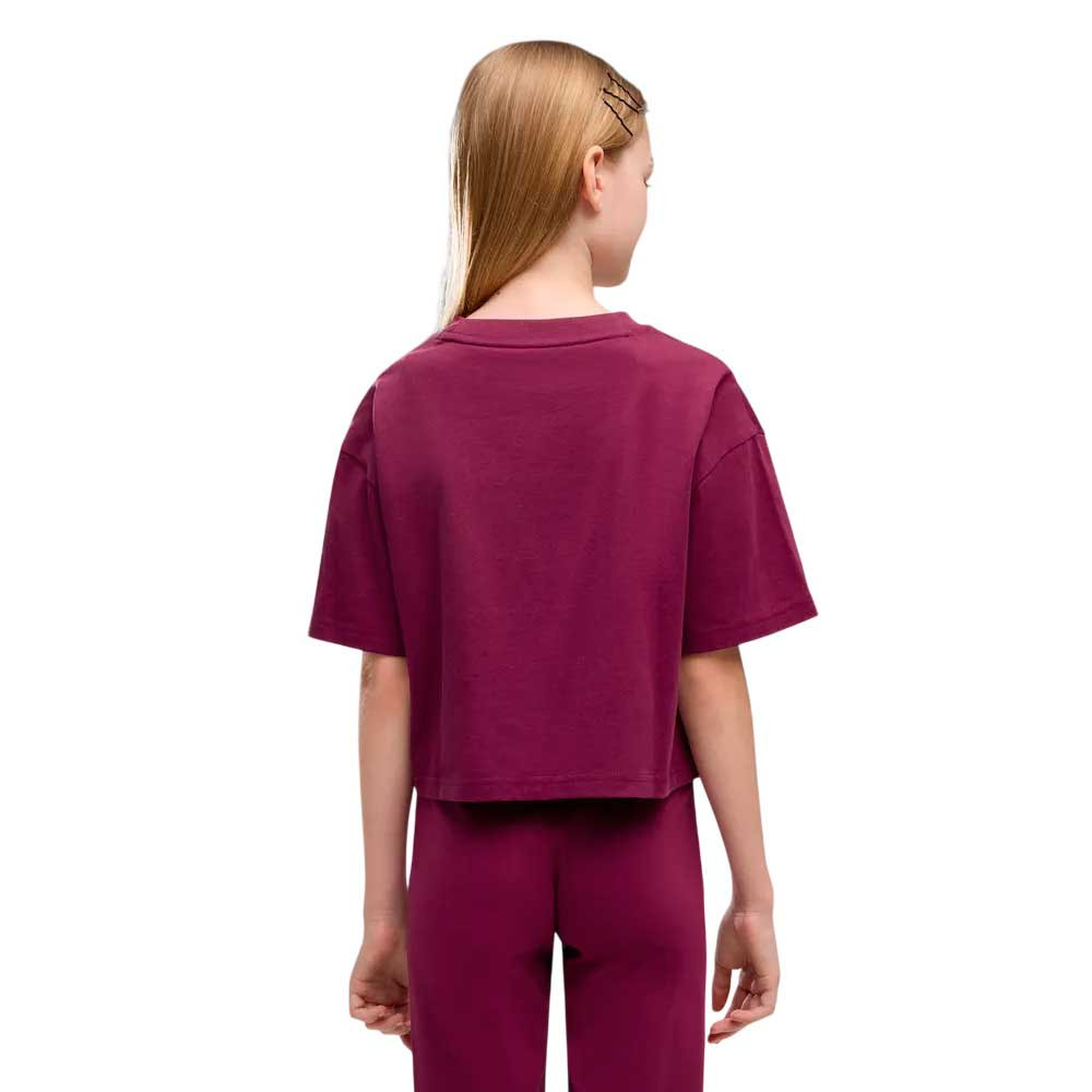 Camiseta Puma Essential 686071-41