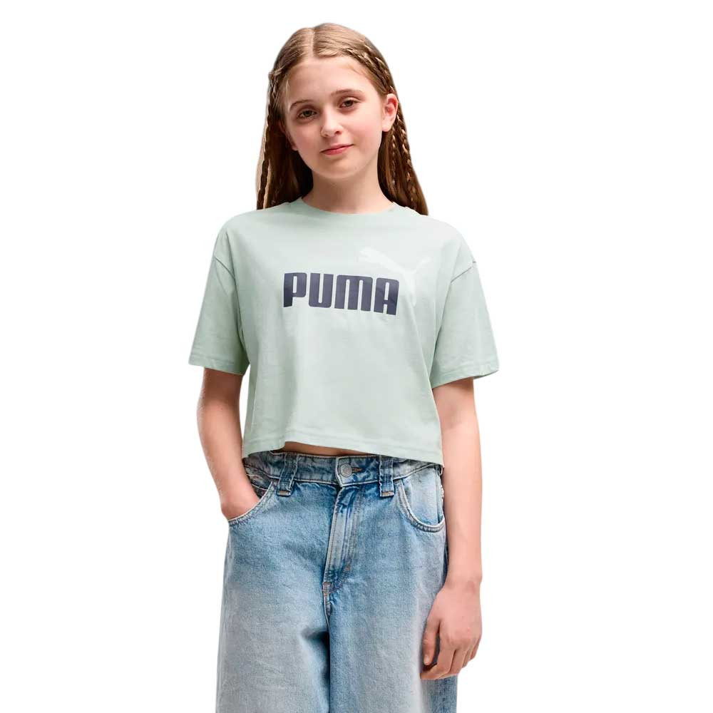 Camiseta Puma Essential 686071-30