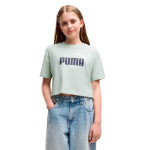 CAMISETA PUMA ESSENTIAL 686071-30