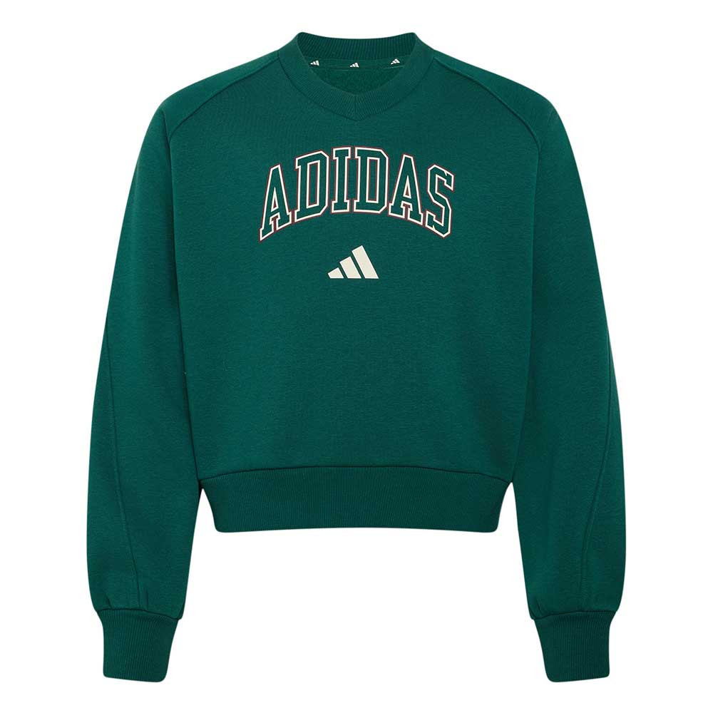 Sudadera adidas Collegiate KS5137