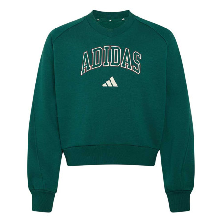 Sudadera adidas Collegiate KS5137