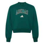 Sudadera adidas Collegiate KS5137