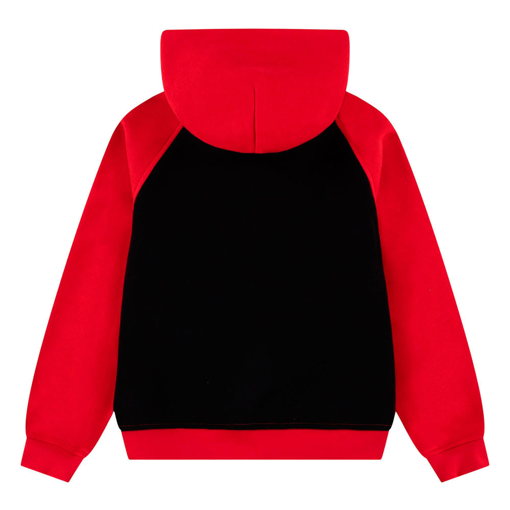 Sudadera Nike Jordan Air 95G179-U10
