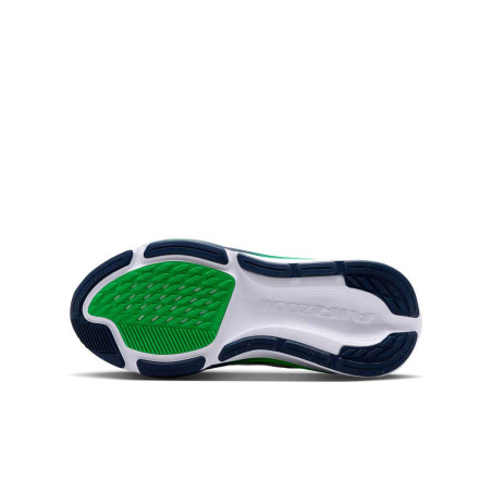 Zapatilla Nike Air Zoom Pegasus 42 IH2306-102