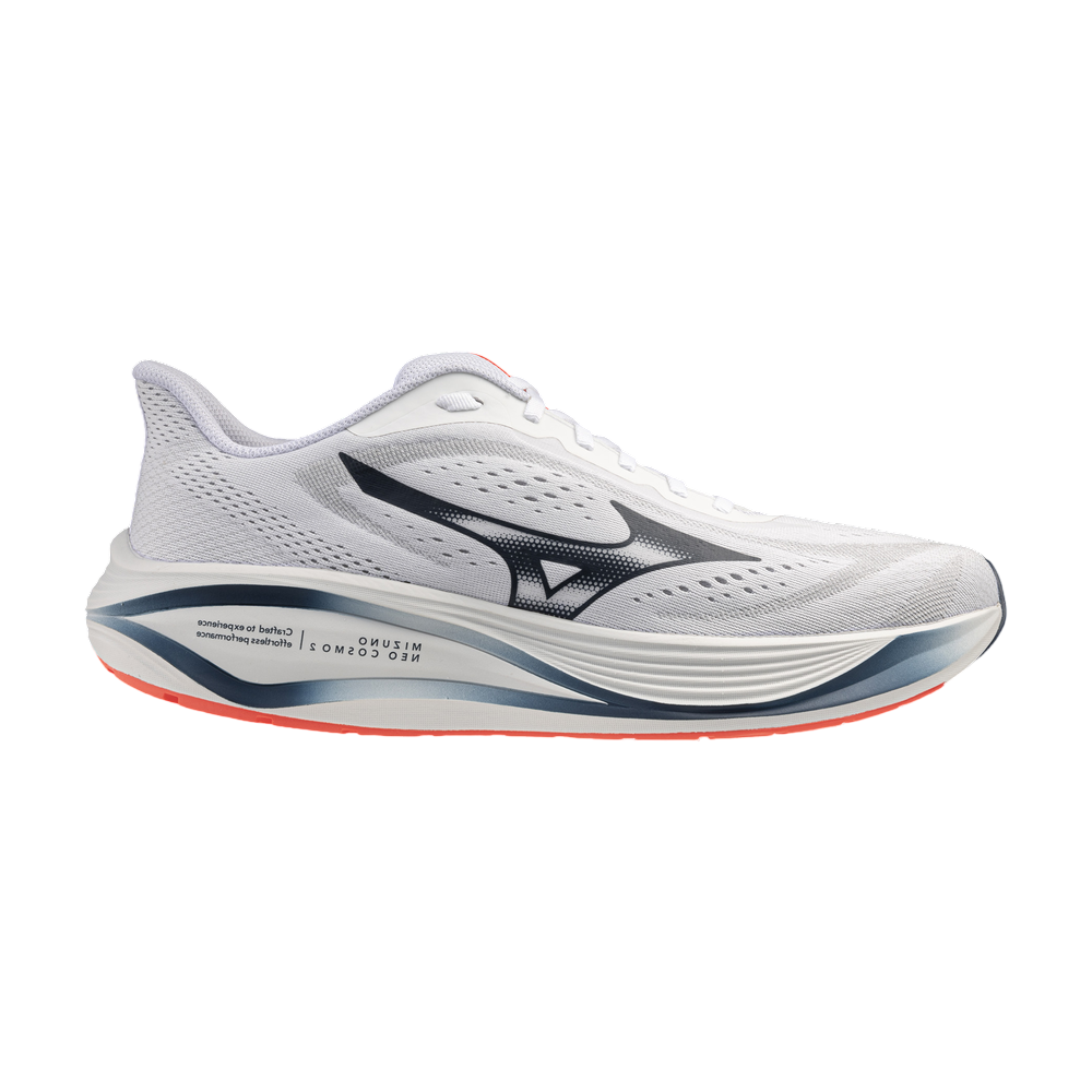 Zapatilla Mizuno Neo Daichi 10 GTX J1GM268251