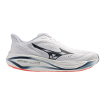 ZAPATILLA MIZUNO NEO DAICHI 10 GTX J1GM268251