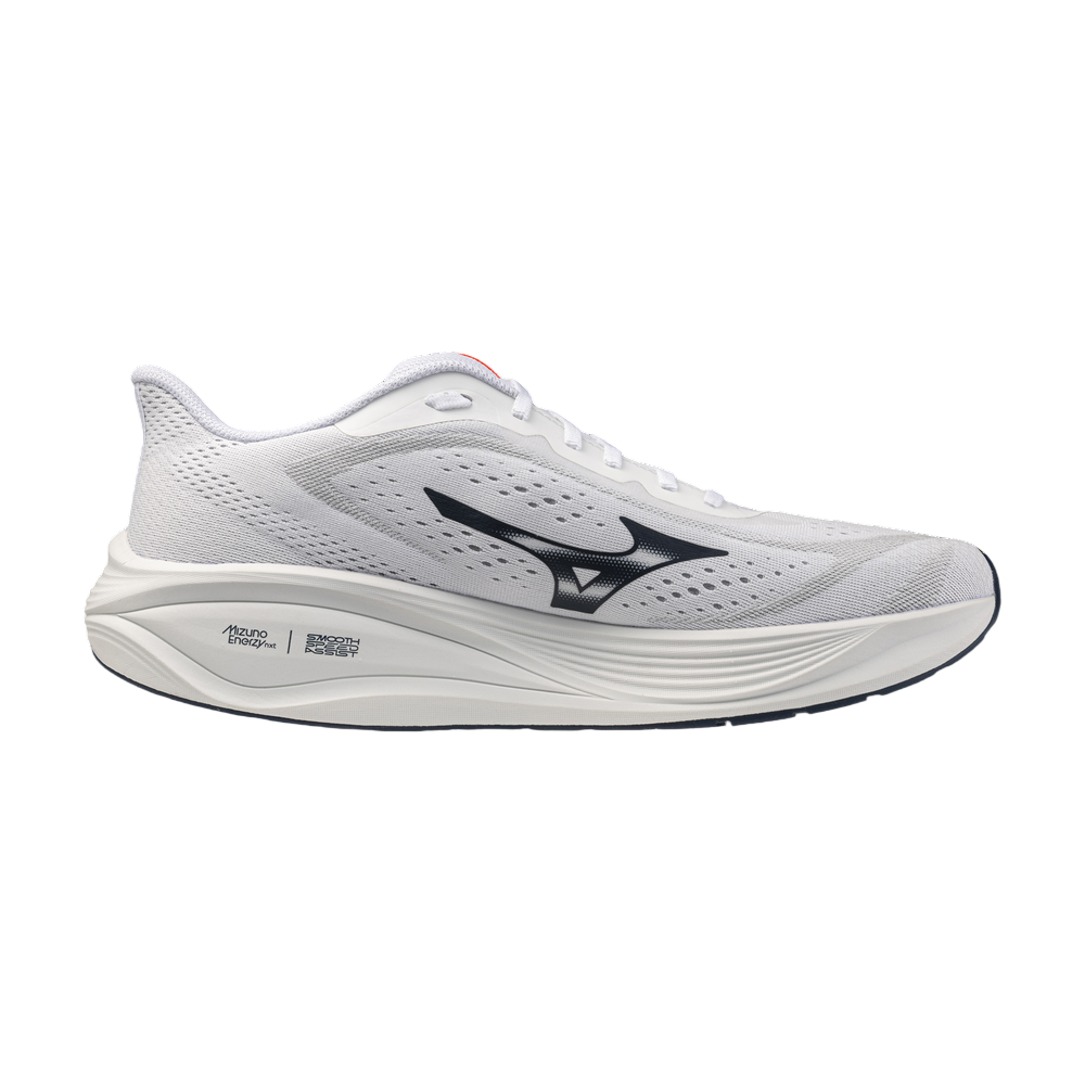 Zapatilla Mizuno Neo Daichi 10 GTX J1GM268251