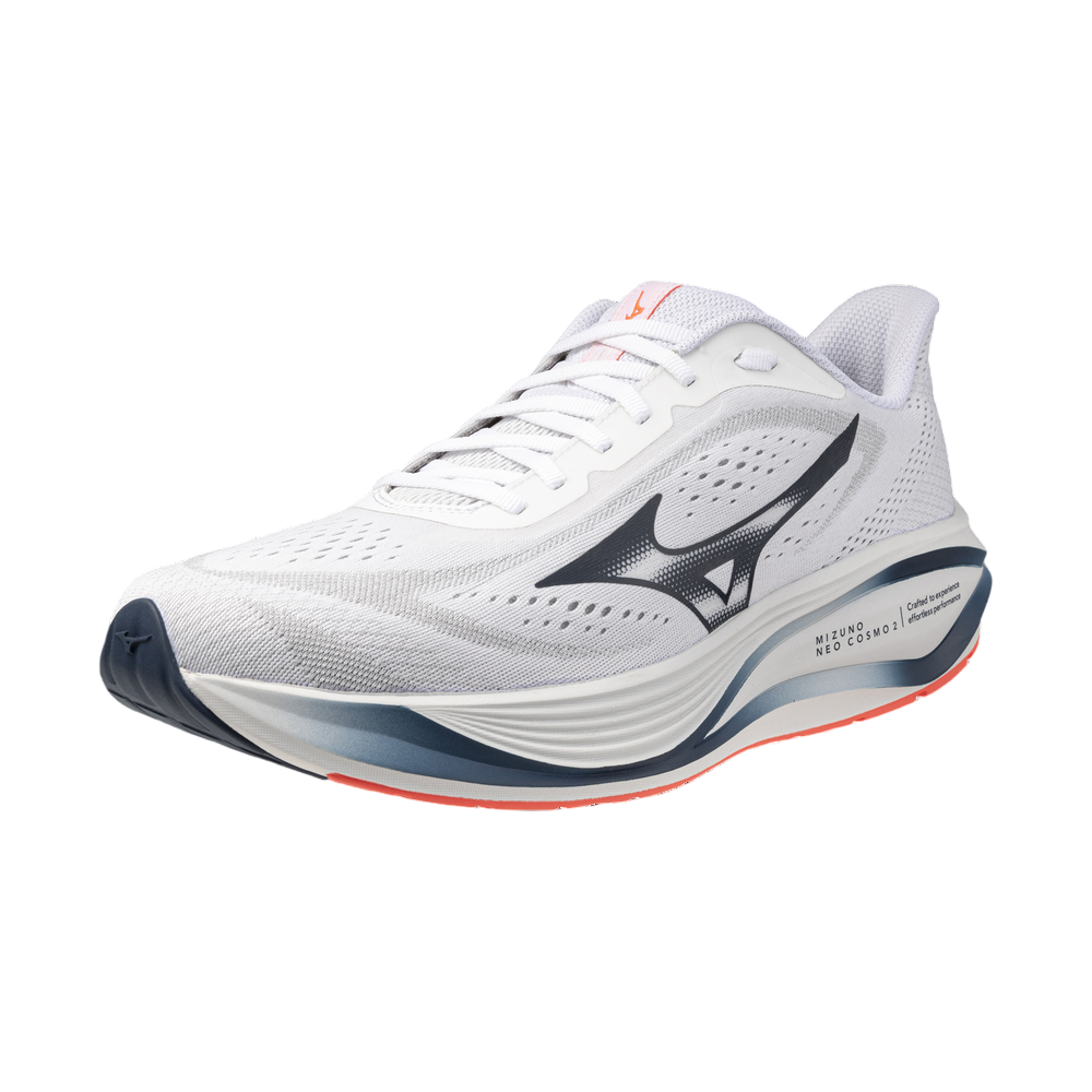 Zapatilla Mizuno Neo Daichi 10 GTX J1GM268251