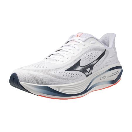 Zapatilla Mizuno Neo Daichi 10 GTX J1GM268251