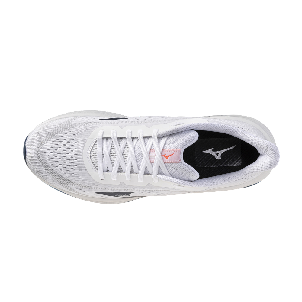 Zapatilla Mizuno Neo Daichi 10 GTX J1GM268251