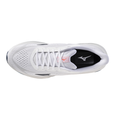 Zapatilla Mizuno Neo Daichi 10 GTX J1GM268251