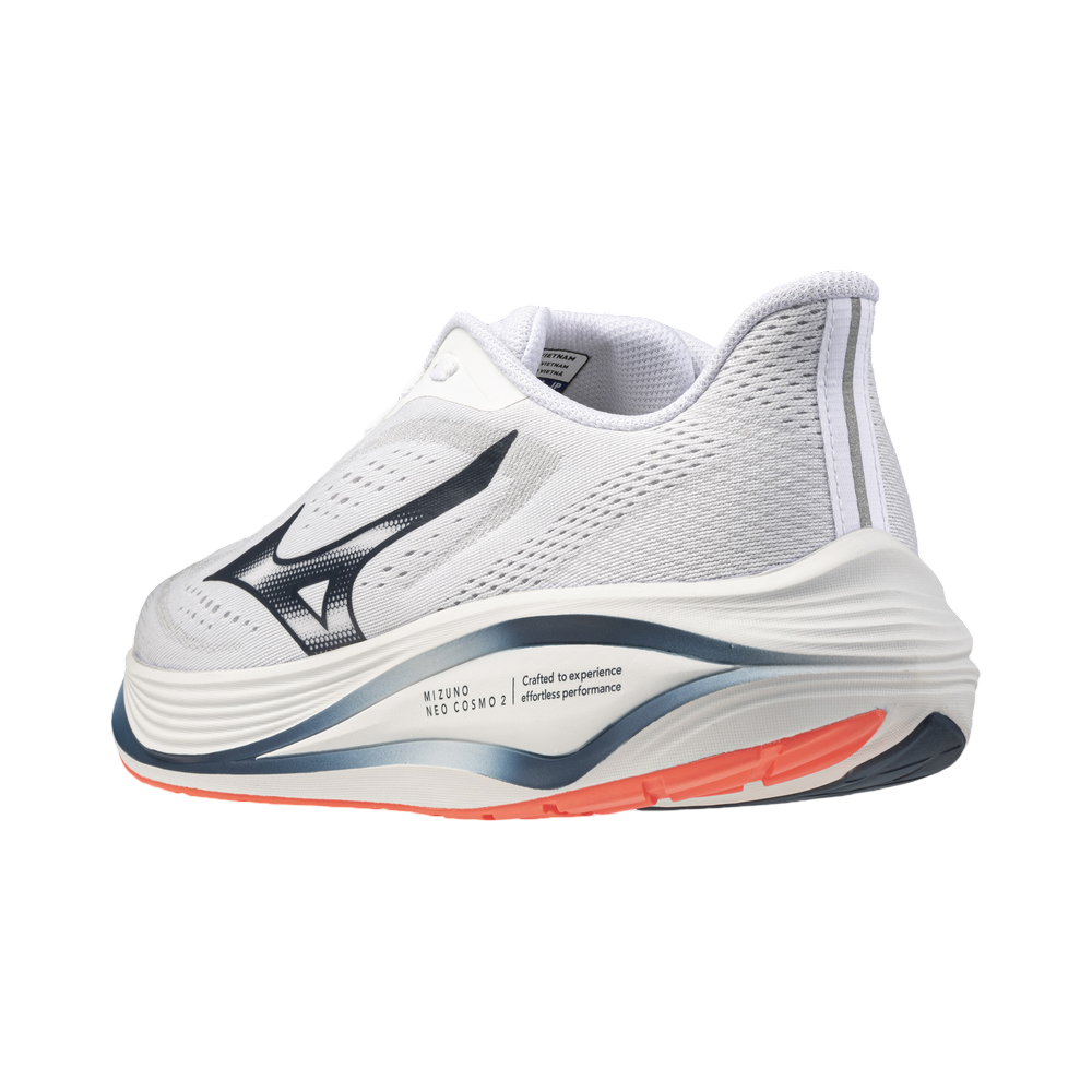 Zapatilla Mizuno Neo Daichi 10 GTX J1GM268251