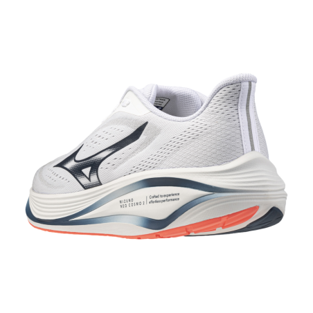 Zapatilla Mizuno Neo Daichi 10 GTX J1GM268251