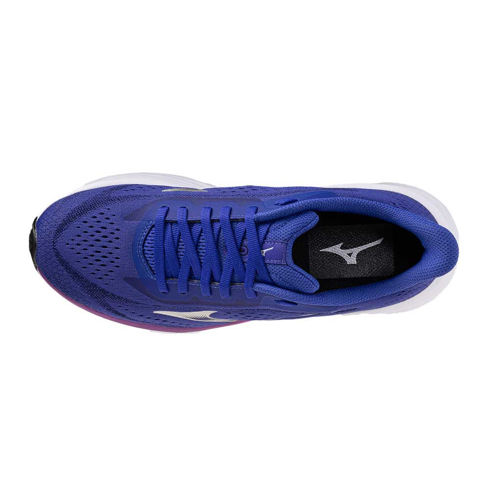 Zapatilla Mizuno Neo Daichi 10 GTX J1GW268272
