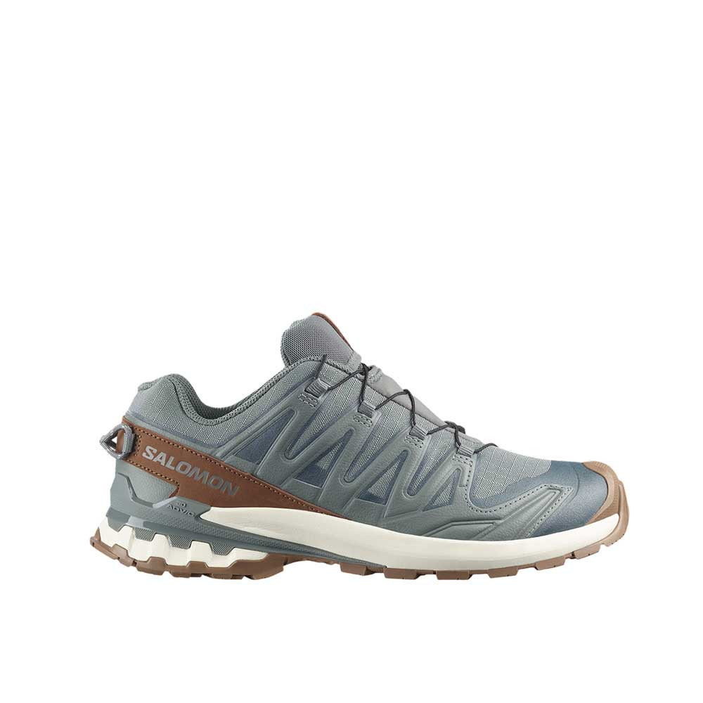 Zapatilla Salomon XA Pro 3D V9 GTX Lifelong L49296100
