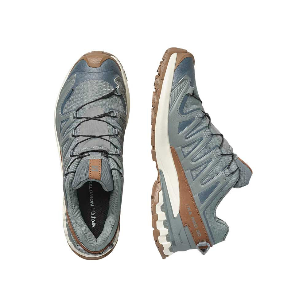 Zapatilla Salomon XA Pro 3D V9 GTX Lifelong L49296100
