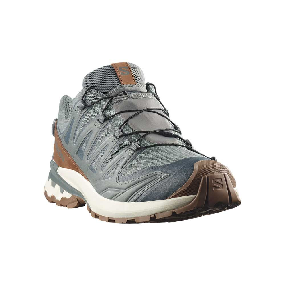 Zapatilla Salomon XA Pro 3D V9 GTX Lifelong L49296100