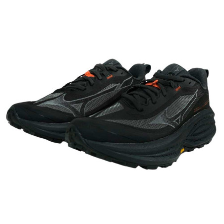 Zapatilla Mizuno Neo Daichi 10 GTX J1GW268272
