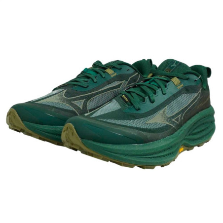 Zapatilla Mizuno Neo Daichi 10 GTX J1GM268251