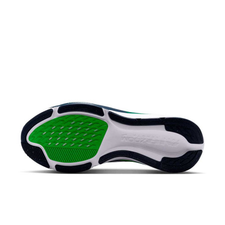 Zapatilla Nike Air Zoom Pegasus 42 IB1873-107