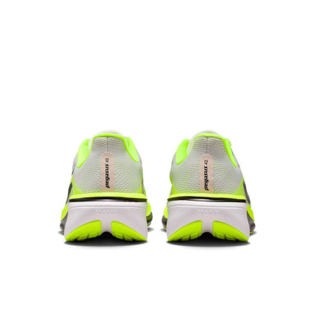 Zapatilla Nike Air Zoom Pegasus 42 IB1873-008