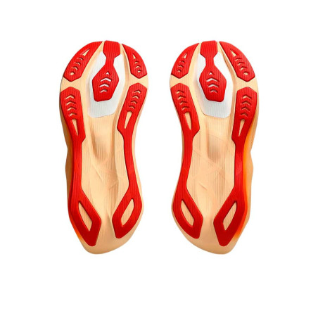 Zapatilla ASICS Novablast 6 1011C243-102
