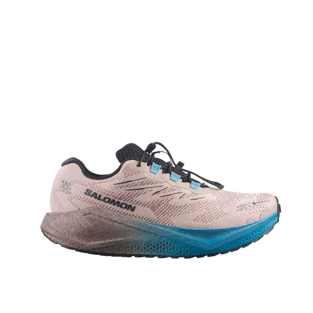 Zapatilla Salomon Aero Blaze 4 GRVL GTX L45403300